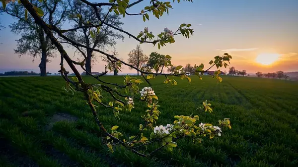 Праздник сегодня, 26 марта: что нельзя делать, народные приметы и традиции