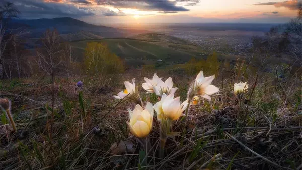 30 марта: что нельзя делать и народные приметы