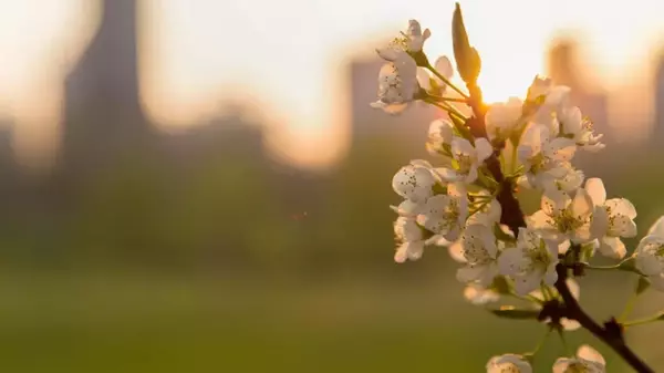 Праздник сегодня 26 апреля: что нельзя делать, народные приметы, Дни ангела