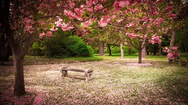 Праздник сегодня, 24 апреля: что нельзя делать, народные приметы, у кого День ангела