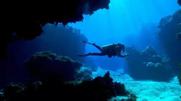 Что-то в глубине океана заставило рыб независимо друг от друга мутировать один ген: о чем идет речь