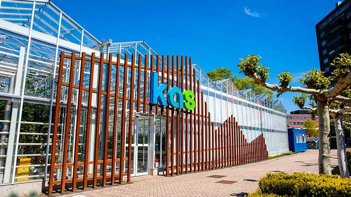 Нідерланди: освіта, що випереджає майбутнє