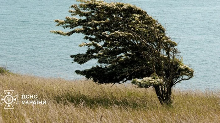 На Украину надвигается непогода, спасатели предупреждают об опасности