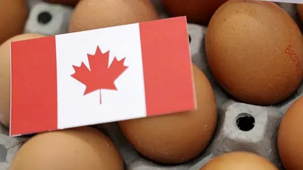 Украина начинает экспортировать в Канаду популярный продукт