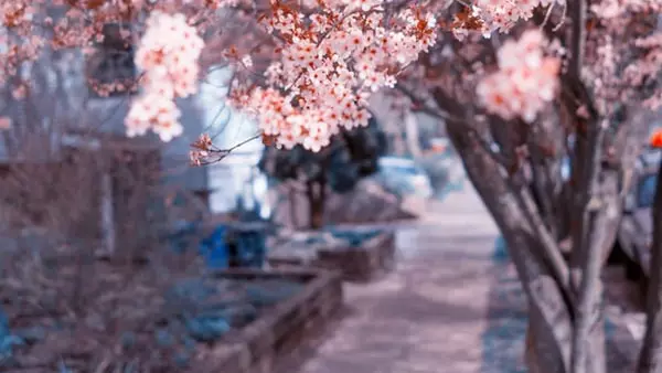 Синоптик предупредила о погодном сюрпризе: прогноз на завтра в Украине