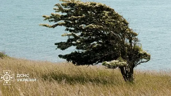 На Украину надвигается непогода, спасатели предупреждают об опасности