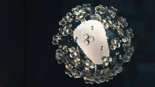 Предок всего живого появился сразу после формирования Земли: ученые узнали, когда это случилось