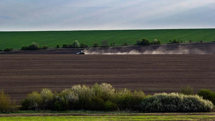 Весенняя посевная: аграрии выполнили 76% плана
