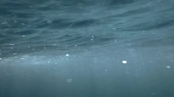 Уровень океана рекордно вырос и дело не в потеплении Земли: NASA обнаружило то, чего не ждало (фото)