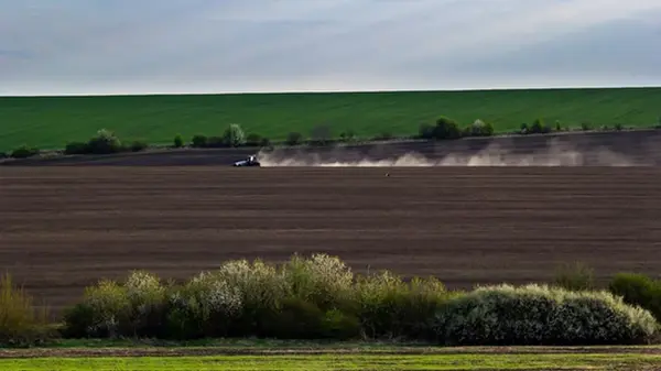 Весенняя посевная: аграрии выполнили 76% плана