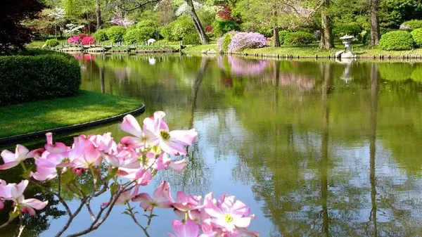 Праздник сегодня, 6 мая: что нельзя делать, у кого День ангела, важные приметы