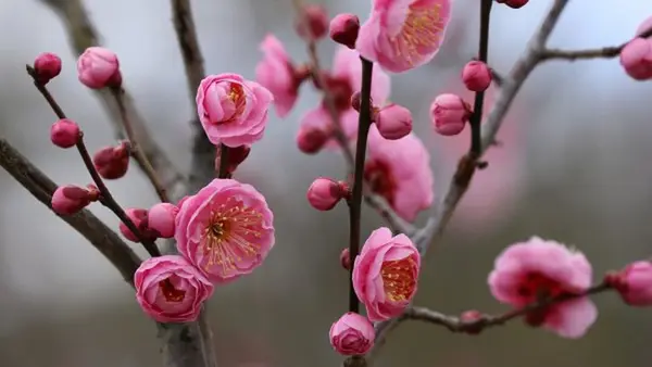 Праздник сегодня, 12 мая: что нельзя делать, у кого День ангела, приметы дня