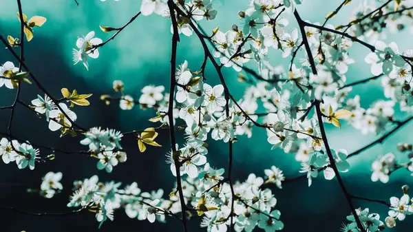 Праздник сегодня, 14 мая: у кого день Ангела, что нельзя делать, народные приметы