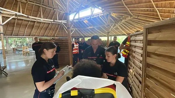 Во Франции молния ударила в зоопарк: пострадали 13 человек