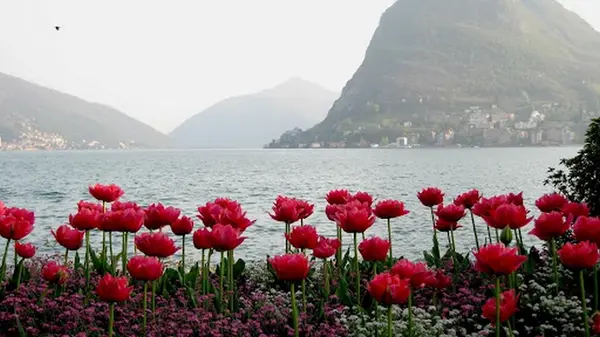 Праздник сегодня, 21 мая: что нельзя делать, народные приметы