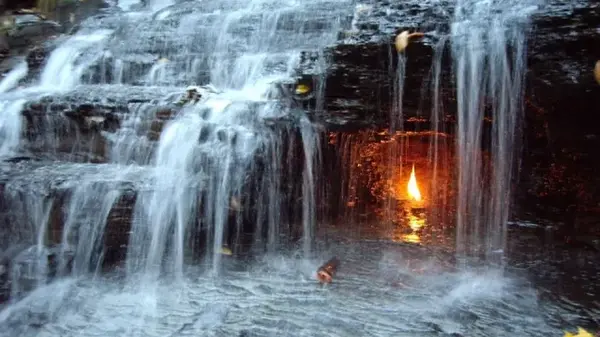 9 потрясающих загадок природы, которые ученые не могут полностью объяснить