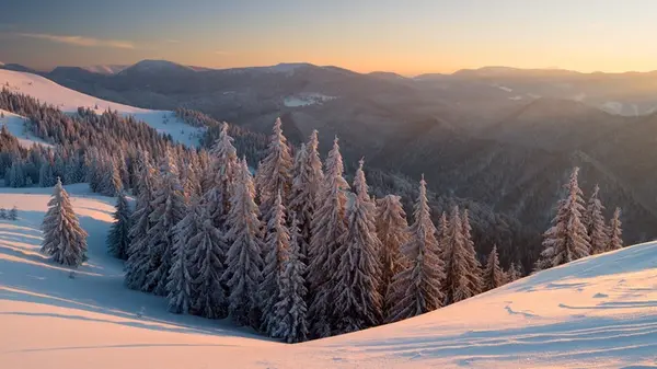 Карпаты напрочь замело снегом: спасатели показали фото