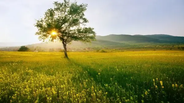 Праздник 23 мая: что точно нельзя делать сегодня, народные приметы