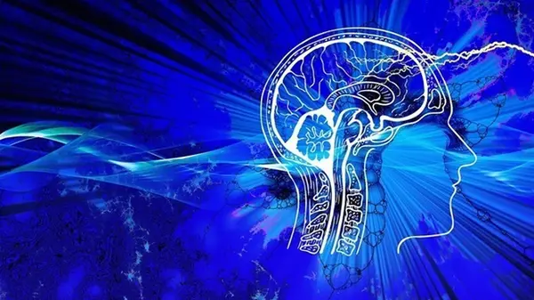 Малоподвижный образ жизни может уменьшать мозг — исследование