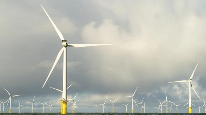 Нидерланды обвинили Бельгию в «краже ветра»