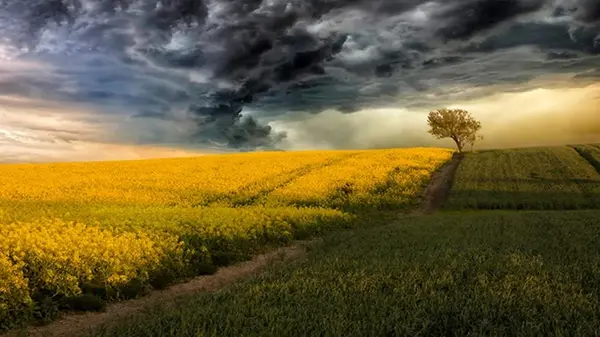 Китай создает «искусственные дожди» над засушливыми регионами