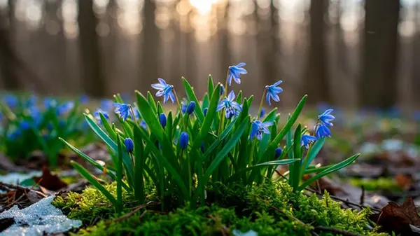 Праздник сегодня, 27 мая: у кого День ангела, народные приметы, что нельзя делать