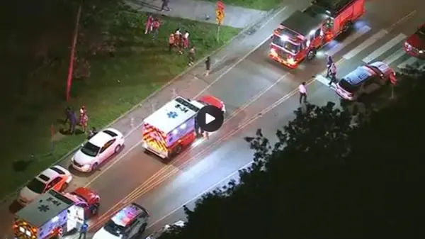 В США произошла массовая стрельба в парке, есть погибшие