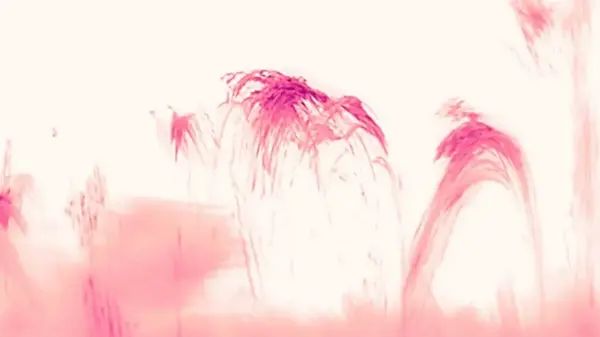 Впервые астрономы увидели, как на Солнце идет дождь: как это возможно (видео)