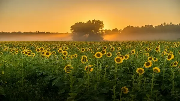 Праздник сегодня, 5 июня: почему нельзя долго спать, все запреты и народные приметы