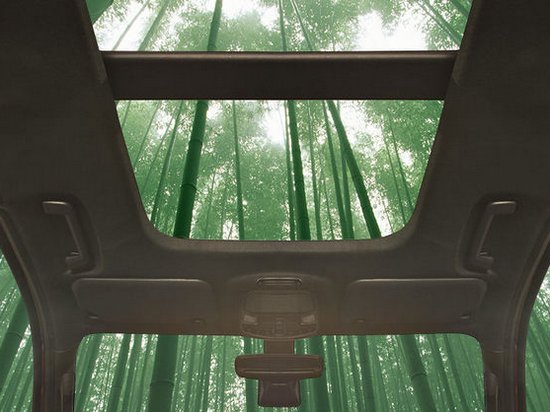 Компания Ford намерена выпустить авто из бамбука