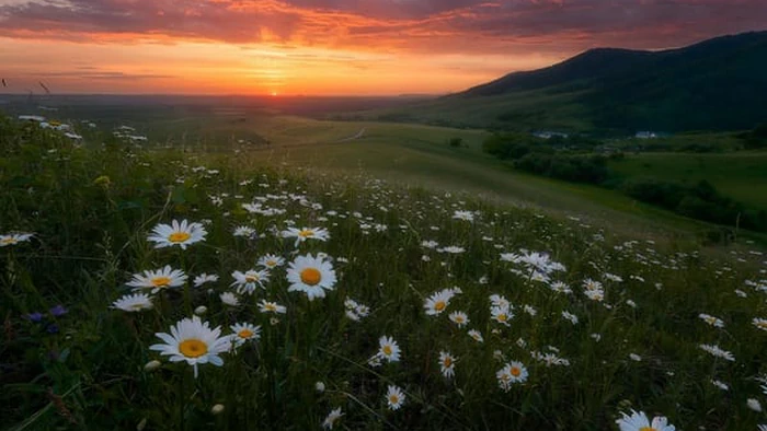 Троица 2025: что нельзя делать на Зеленые праздники, важные приметы и традиции