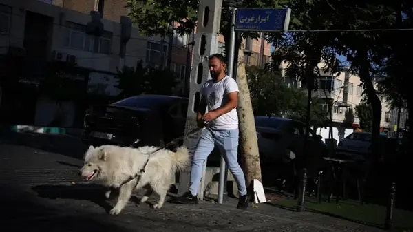 В Иране ввели массовый запрет на выгул собак