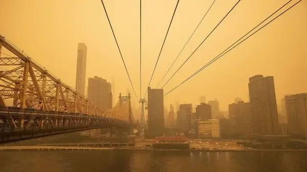 За 7 дней поглотит плесень, а через 100 лет здесь будет лес: что станет с Нью-Йорком без людей