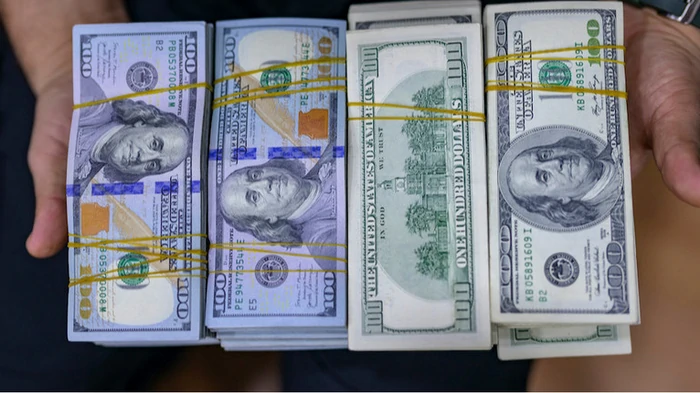 Сколько будут стоить 100 долларов в Украине до конца года: прогноз банкира