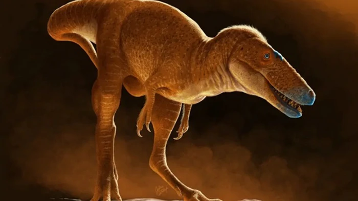 В Монголии обнаружили ближайшего предка тираннозавров