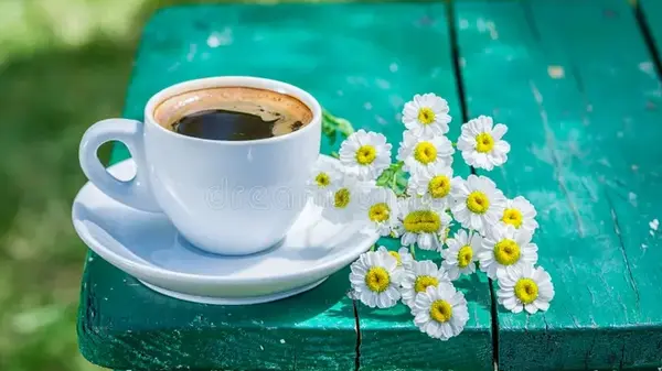 Праздник сегодня, 14 июня: что нельзя делать на Елисея Гречкосея, народные приметы