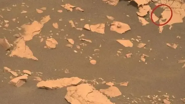 На старой фотографии Curiosity с Марса нашли необычный объект: почему NASA его не уничтожило (фото)