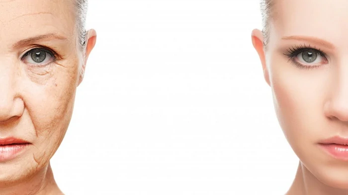 Может ли человек жить вечно: ученый сказал, что для этого нужно