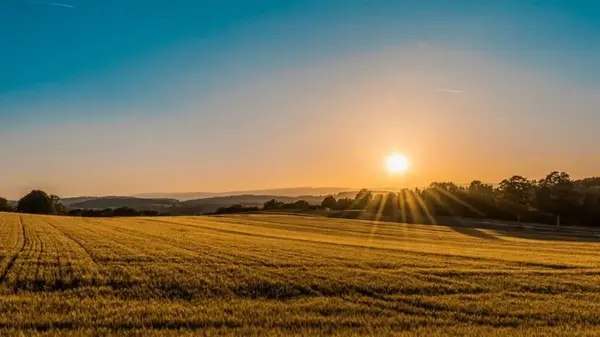 Грозы и засухи: Укргидрометцентр дал прогноз на самый жаркий месяц года