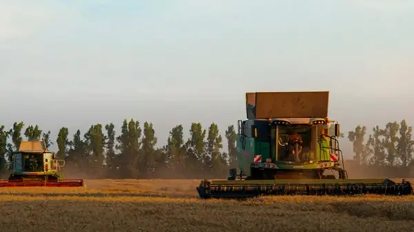 Темпы жатвы-2025 отстают от прошлогодних в 3,8 раза