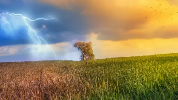 Климатические «американские горки»: через несколько лет погода бросит людям экстремальный вызов