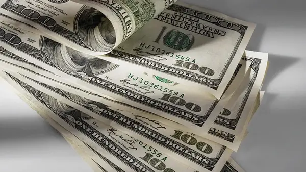 Сколько будут стоить 100 долларов в Украине: прогноз банкира до 20 июля