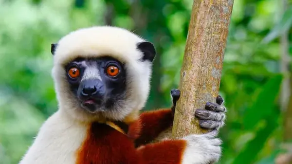 Старость без болезней и слабости возможна: ученые только что обнаружили того, кому это удалось