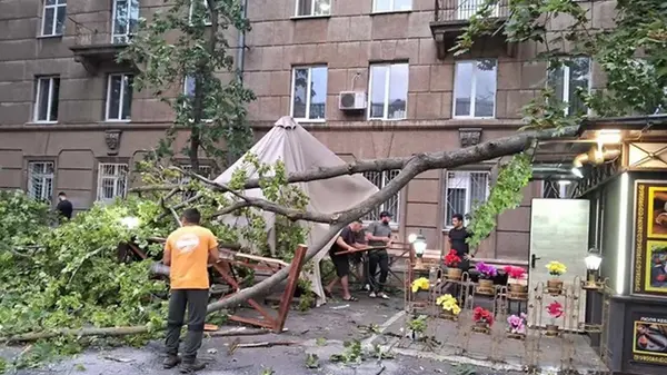 В Одессе гроза и штормовой ветер натворили бедствий (фото)