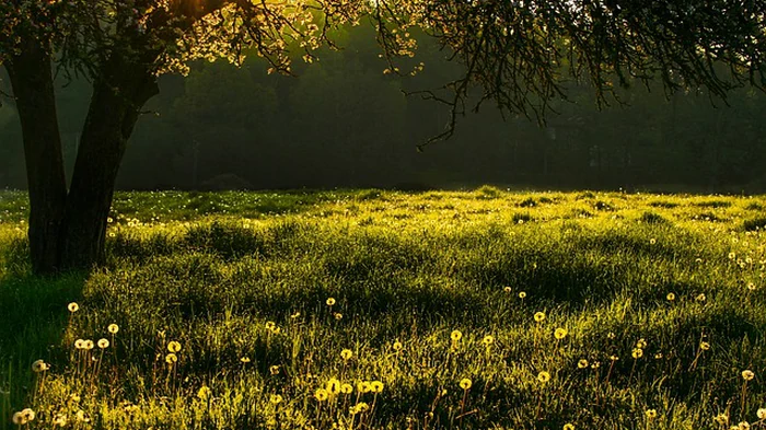 Укргидрометцентр дал прогноз на последний месяц лета