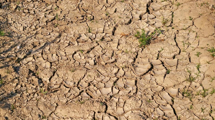 Не таяние ледников: ученые выяснили неожиданную причину повышения уровня моря