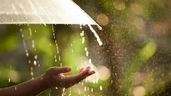 Жара до +40 и ливни: синоптик рассказала о погоде в Украине на выходных