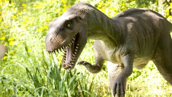 В Китае нашли динозавра, который умел щебетать, как птица