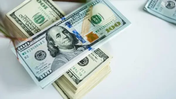 Доллар стабилен, курс евро вырос до 49 гривен