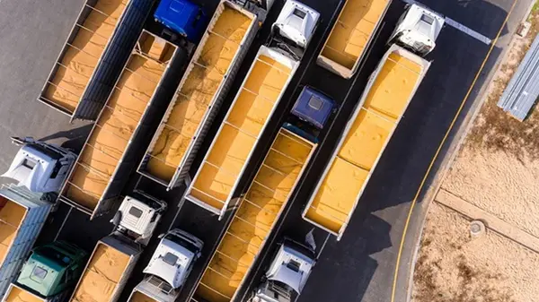 Логистические компании Польши жалуются на отсутствие украинского зерна